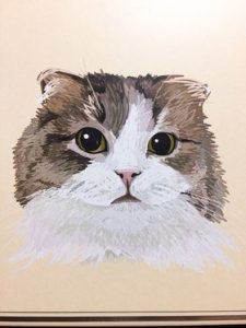猫ネタ いづみ日記 ココハウス