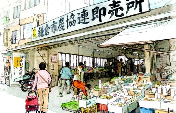 鎌倉駅周辺及び材木座エリアで駐車場を探しているお客様からのお問い合わせを多数いただいております。